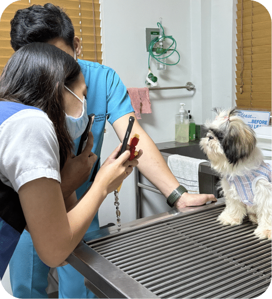 dog vaccination at our Marikina vet clinic
