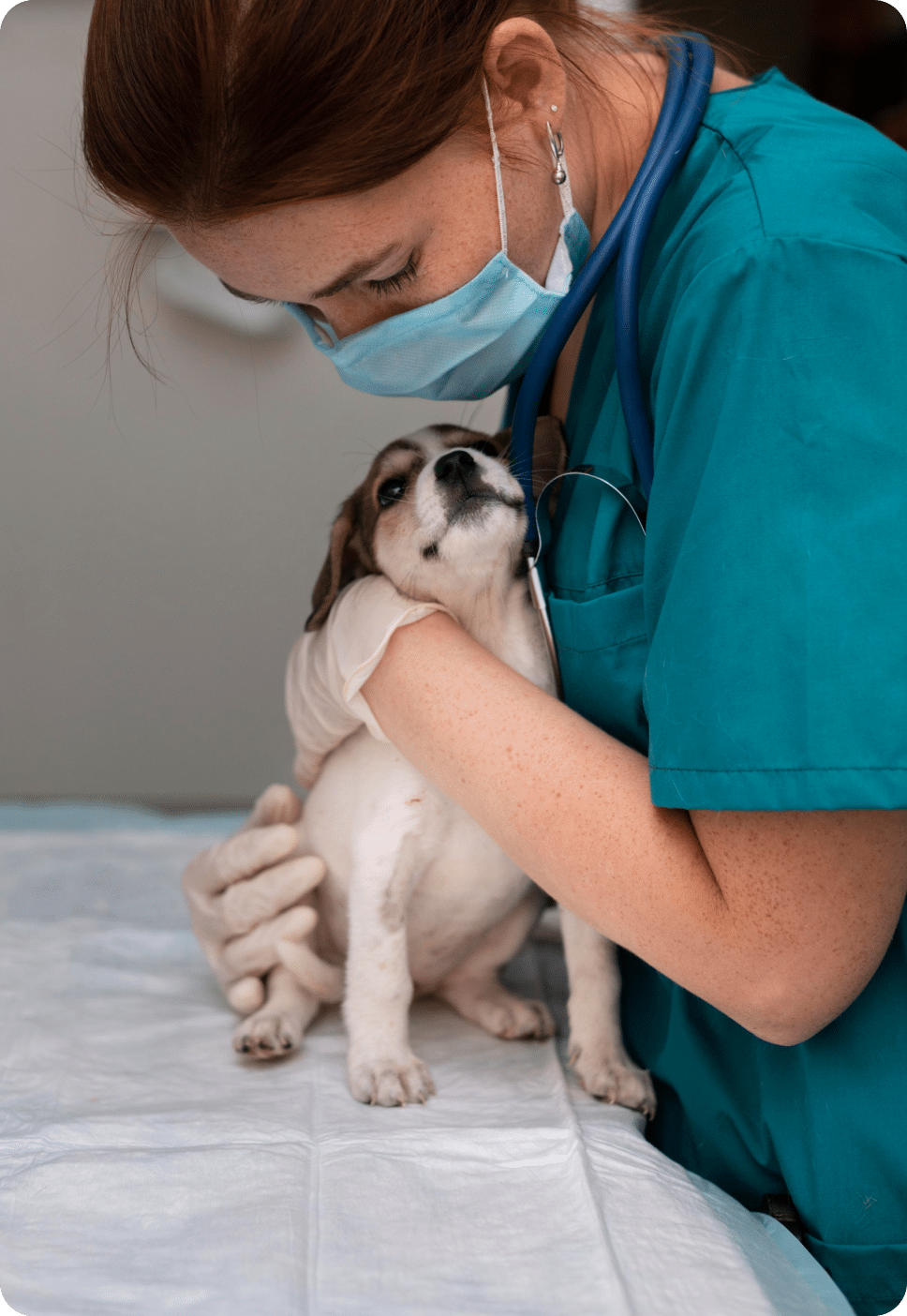 A vet doctor hugging a dog.
