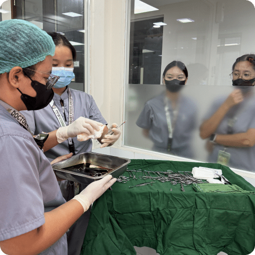 Veterinary staffs with hospital tools.