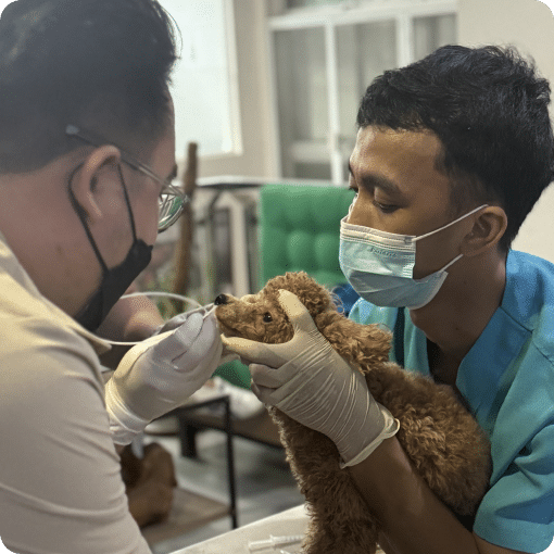 A doctor and a staff holding a dog.