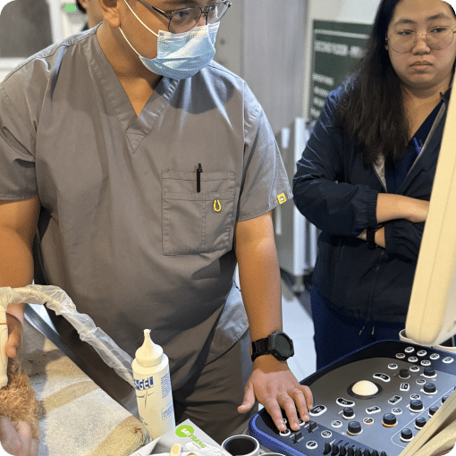 A veterinary doctor using a laboratory machine.