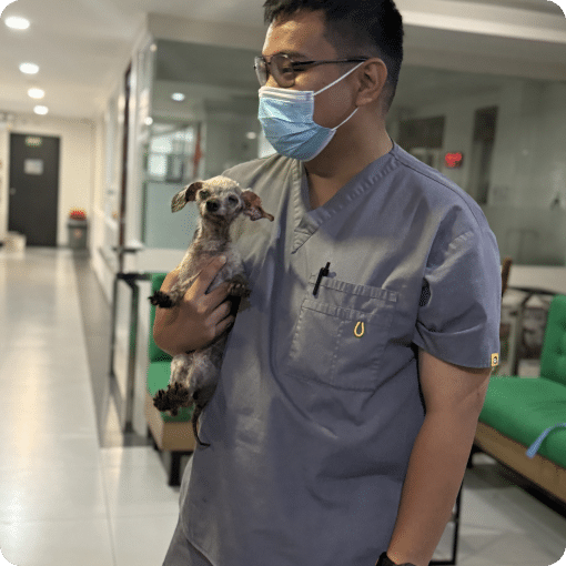 A vet doctor holding a dog.