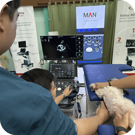 Actual / practical training.