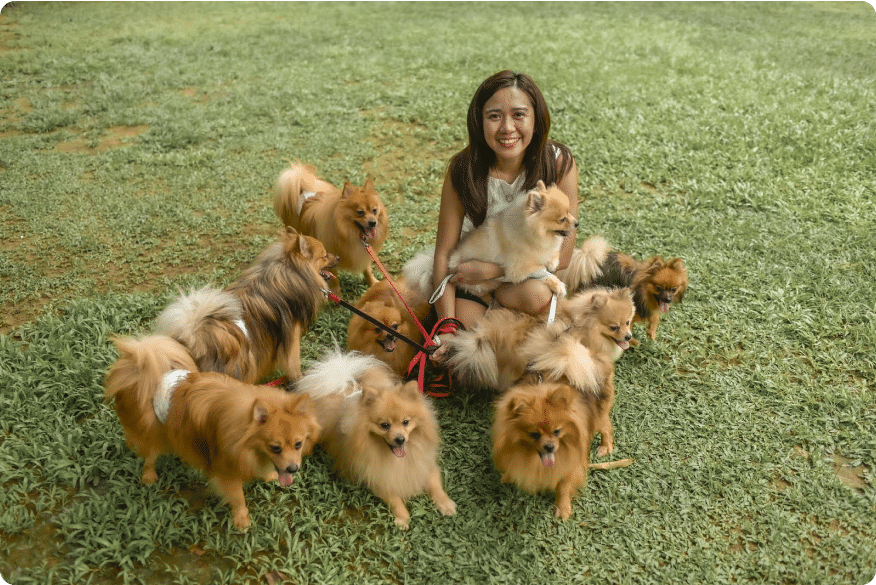 A woman with a lot of pomeranians around her.